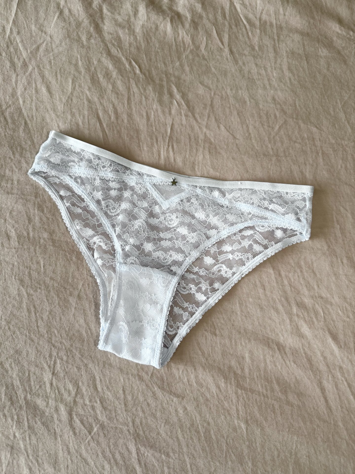Blue Translucent Panties back